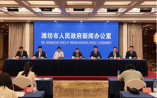 潍坊发布城市发展战略纲要规划远期建成核心大城市(图1)