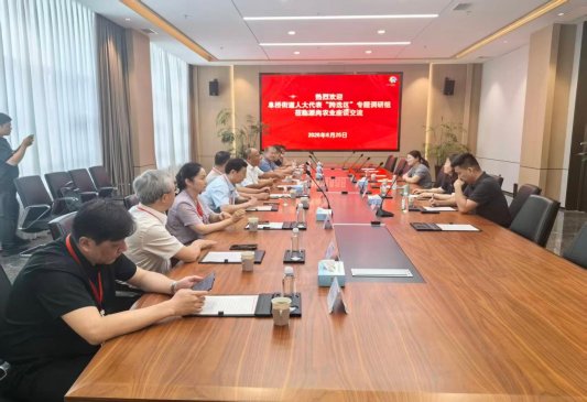 跨选区学习先进经验履职调研赋能基层发展——济宁市任城区阜桥街道人大工委赴柳行街道开展专题调研(图1)