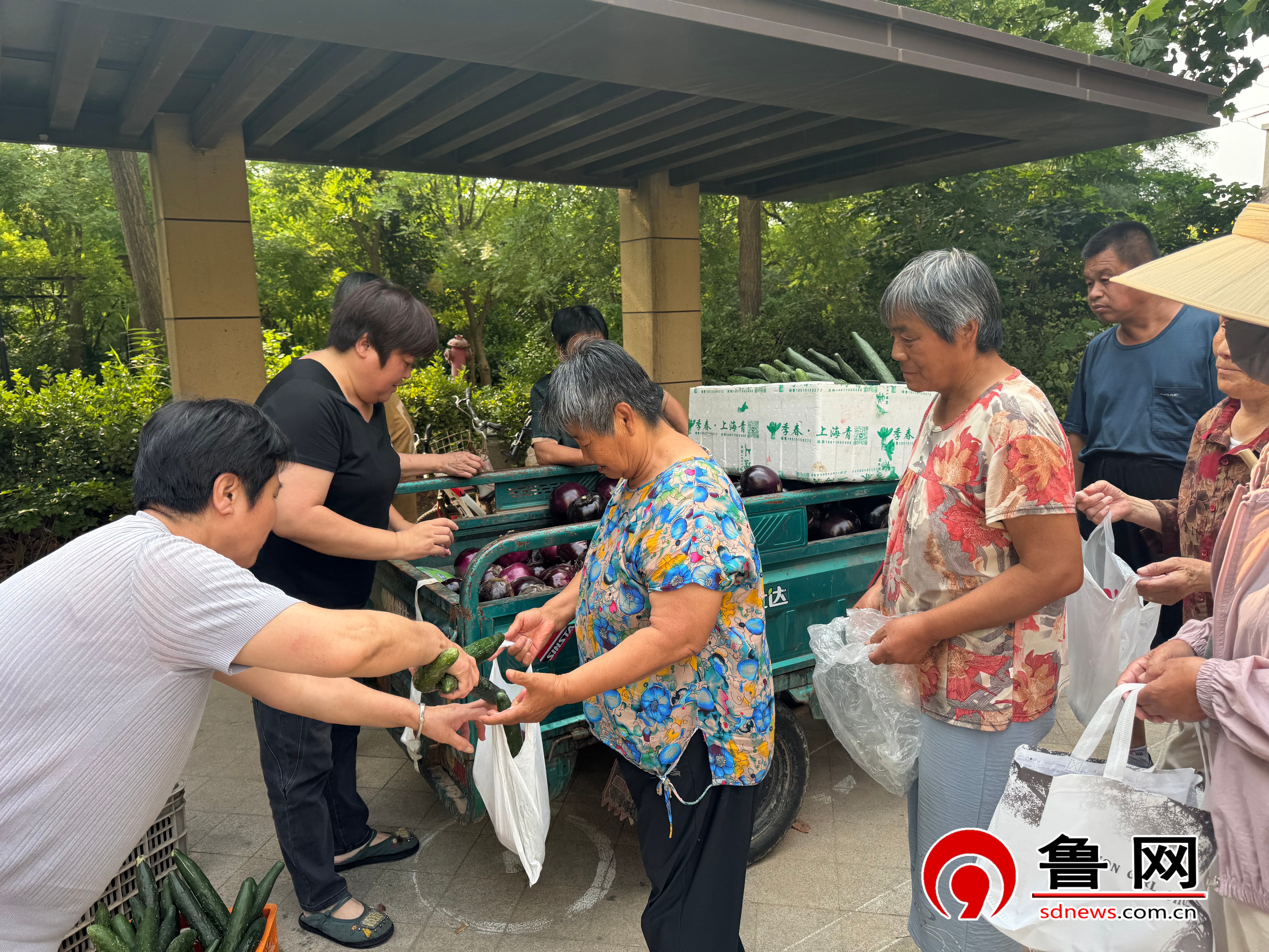 德州天衢新区宋官屯街道沙王社区:爱心鲜蔬送长者 敬老温情暖社区