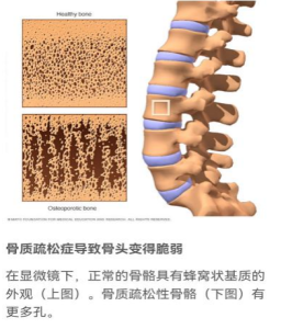 微信图片_2026-04-22_223340_912