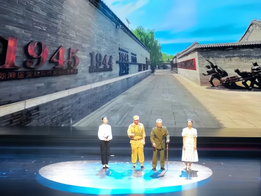 2026年“好网民・在山东”|张富雯:税徽闪耀 青春织就暖心“网”事
