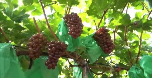 微信图片_20260709101140