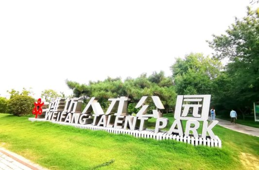 山东有座“前额叶友好型”城市(图2)