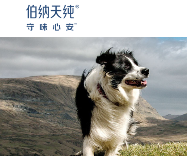 imagefile 图片