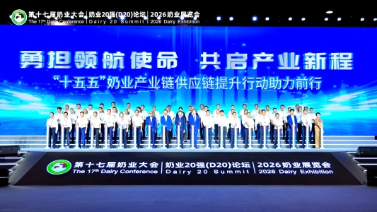 “十五五”