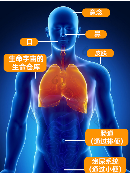 脑梗后遗症康复难?宝叶复能生命医院:以整体复能重启生命状态
