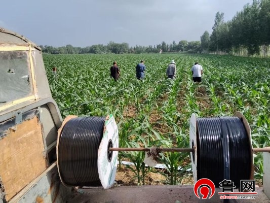 德州市陵城区宋家镇:推广水肥一体化技术 赋能农业提质增效