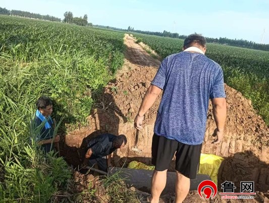 【人民建议征集】德州市陵城区宋家镇:倾听民声办实事 修缮排水保安全