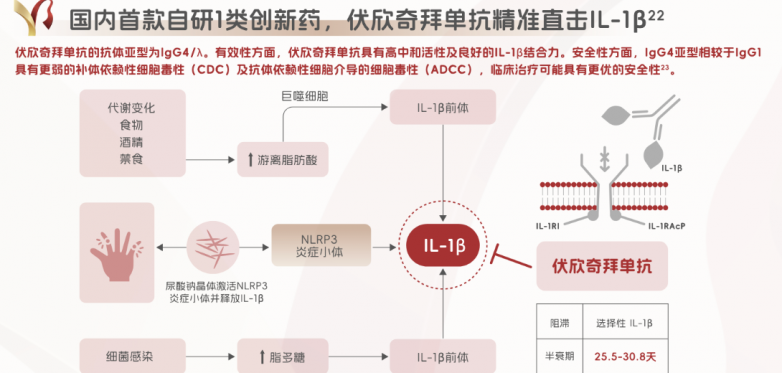 从NSAIDs到金蓓欣:痛风快速止痛药物的起效时间