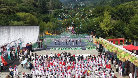 沂蒙山小调音乐会-(1)_proc
