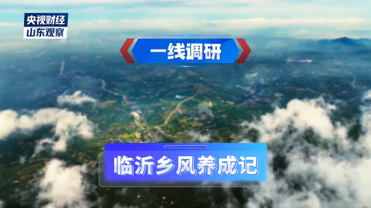山东临沂乡风养成记