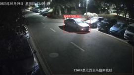 warnImage_b6e8082e-b3d0-4cbe-8892-d6f48218f2b7_机动车违停_20250209234137 - 副本