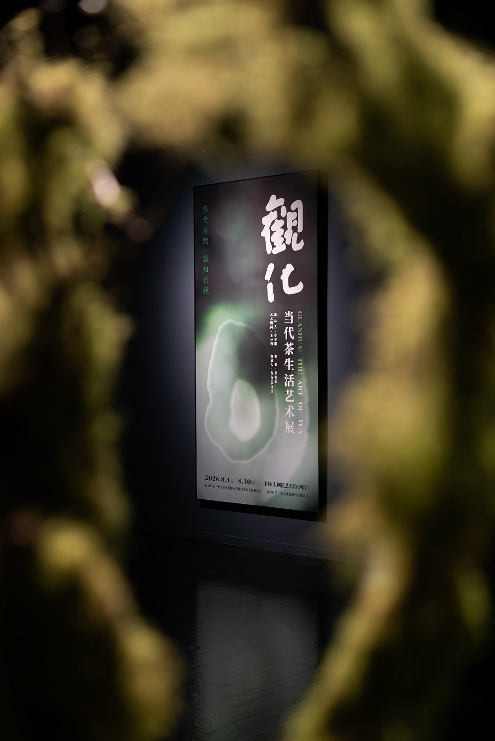 1786503416177521.jpg 图片10.jpg
