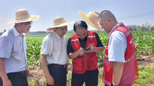 台风“白海豚”来袭 山东人保财险前置防御做实风险减量