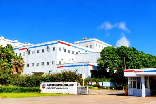 酵母抽提物中坚阵地,走进安琪柳州公司