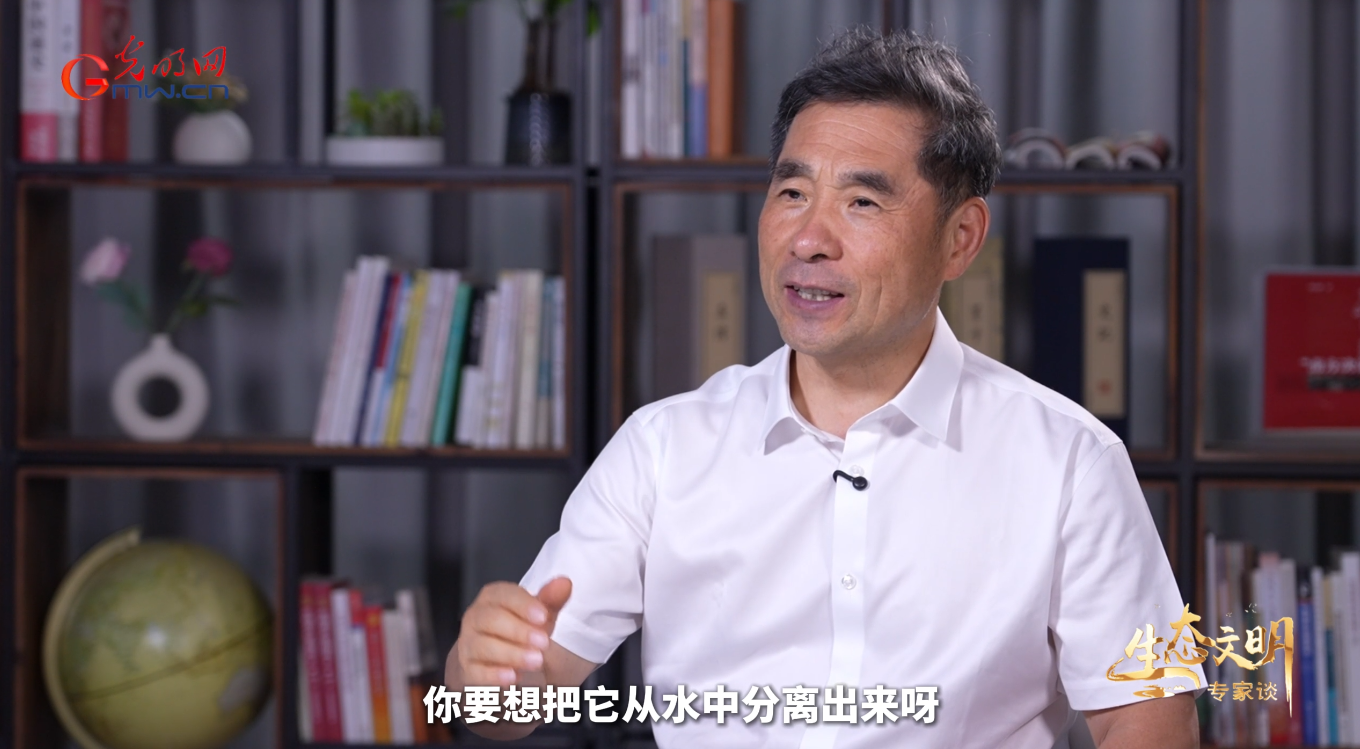 生态文明专家谈｜厚植现代化绿色底色：水资源全域循环的中国探索