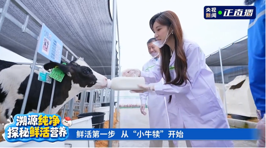 央视溯源直播实地见证 飞鹤筑牢乳业最高等级安全与新鲜