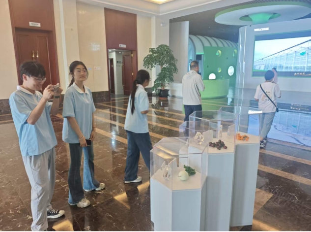 智甜兴农践初心瓜田沃土写青春--淮北师范大学生命科学学院“智甜兴农・绿壤瓜航”实践团队暑期社会实践活动(图3)