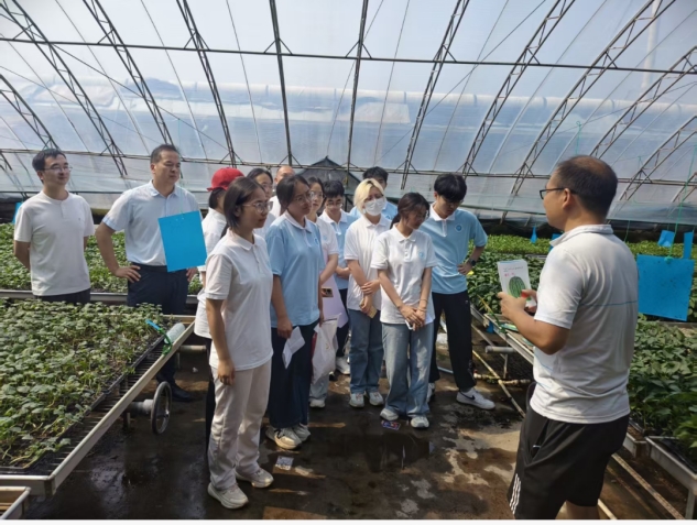 智甜兴农践初心瓜田沃土写青春--淮北师范大学生命科学学院“智甜兴农・绿壤瓜航”实践团队暑期社会实践活动(图1)