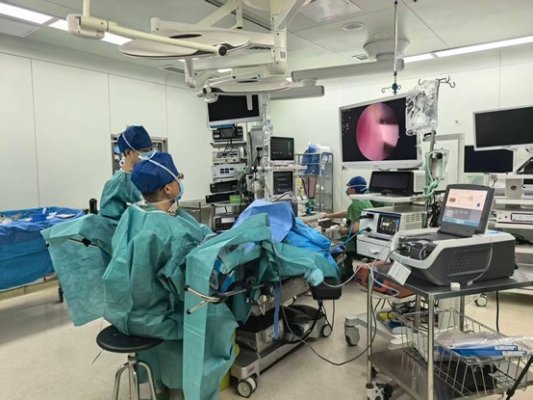 IMG_256