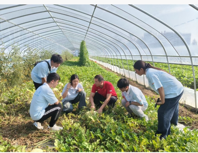 智甜兴农践初心瓜田沃土写青春--淮北师范大学生命科学学院“智甜兴农・绿壤瓜航”实践团队暑期社会实践活动(图2)