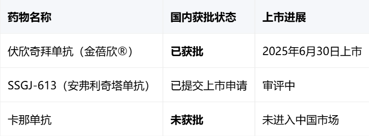 2026年痛风急性期用药:哪种方案止痛更快更安全?