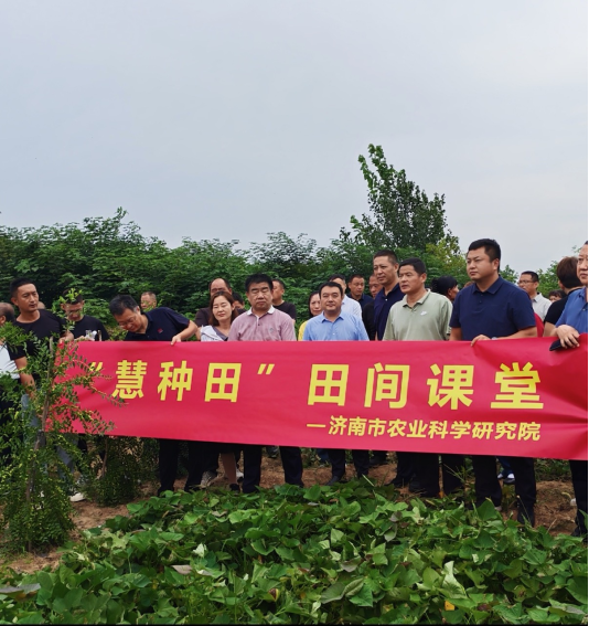邀请济南市农业科学研究院酸枣专家开展种植培训