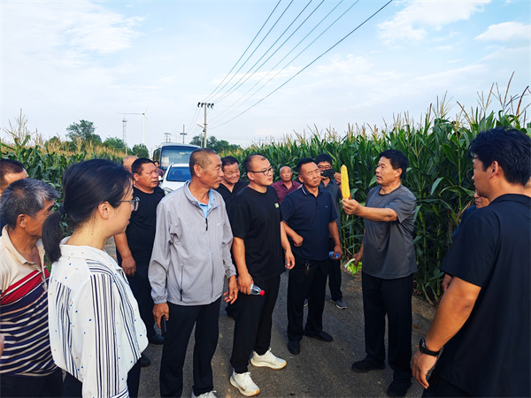 阳信县流坡坞镇到三河湖镇开展“一块田”种子优选调研