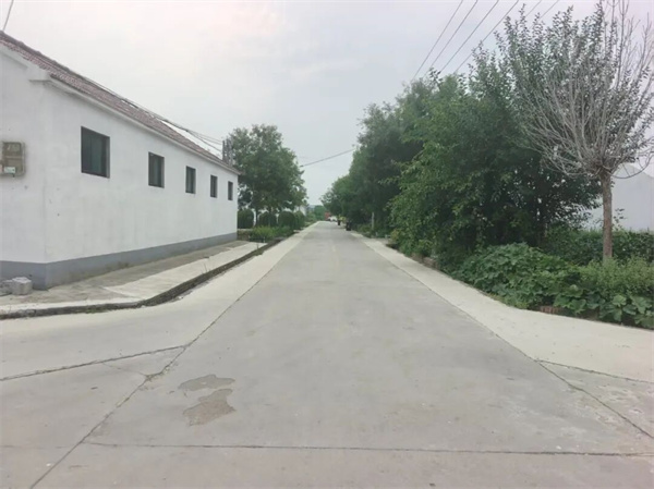 “微收益”连着“大民生” 阳信县商店镇这样绘就乡村“振兴图”