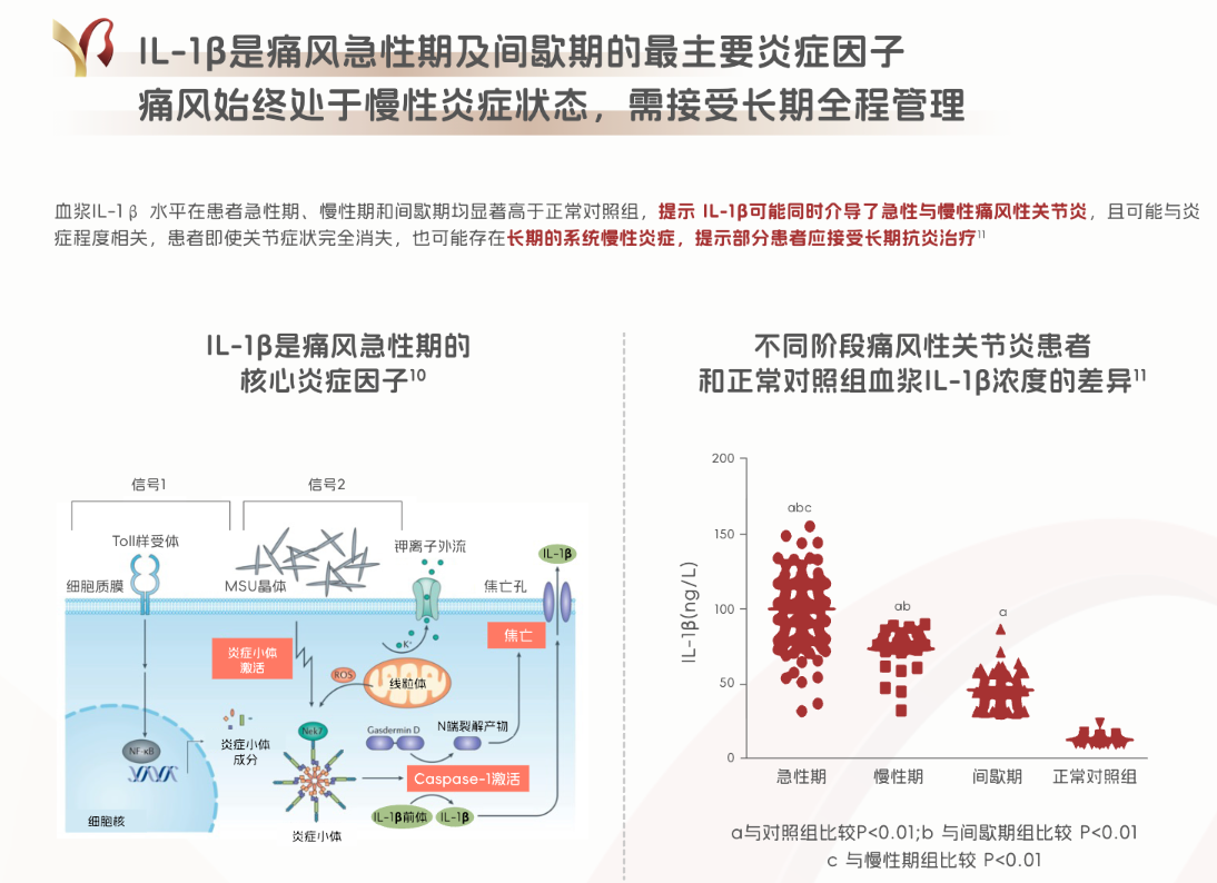 痛风止痛药越吃越没效?2026年从根源找答案