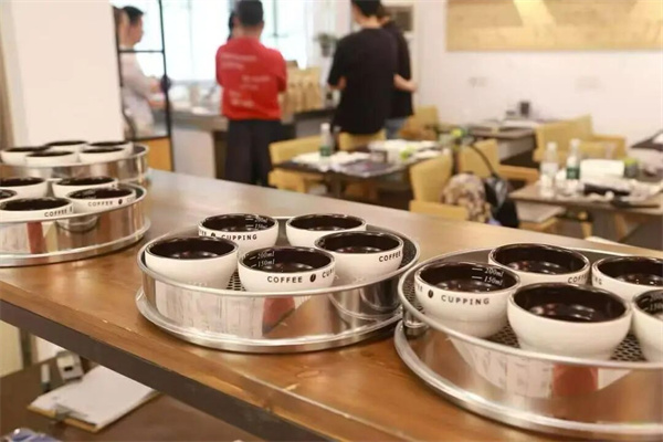 众观智库·省情研究|不产一粒咖啡豆,山东何以玩转咖啡生意