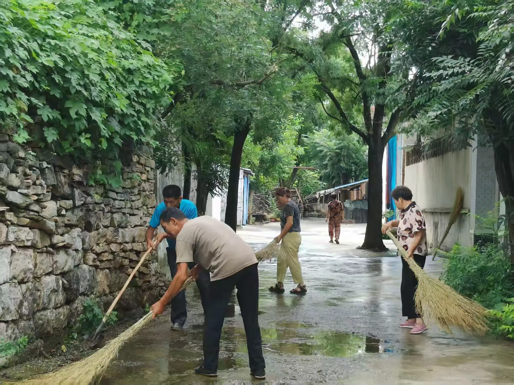 “三向发力” 治环境,和美乡颜日日兴——曹范街道人居环境整治打出提质组合拳