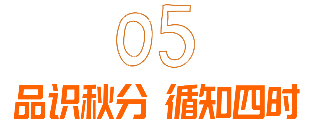 05.png