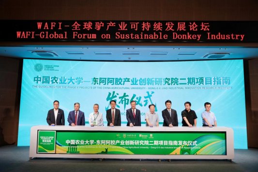 微信图片_20260915191641_2982_137