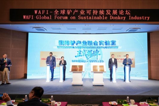 微信图片_20260915182841_2965_137