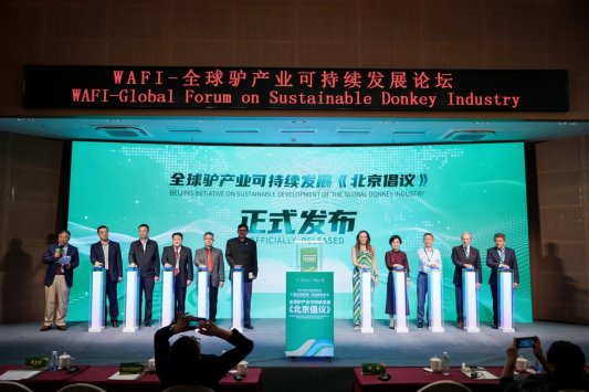 微信图片_20260915182943_2966_137