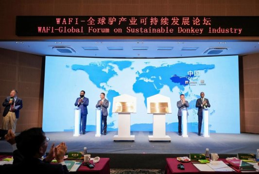 微信图片_20260915182840_2964_137