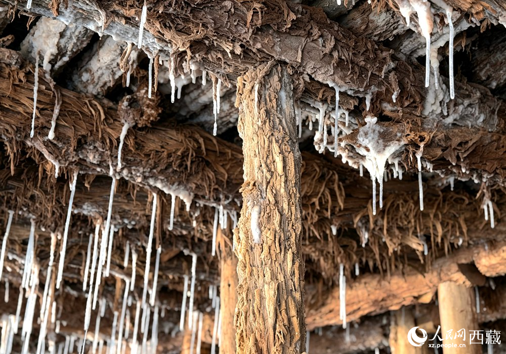 图为芒康古盐田木架下凝结天然盐晶。罗雨欣摄