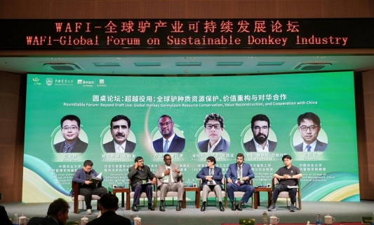 微信图片_20260915182834_2962_137