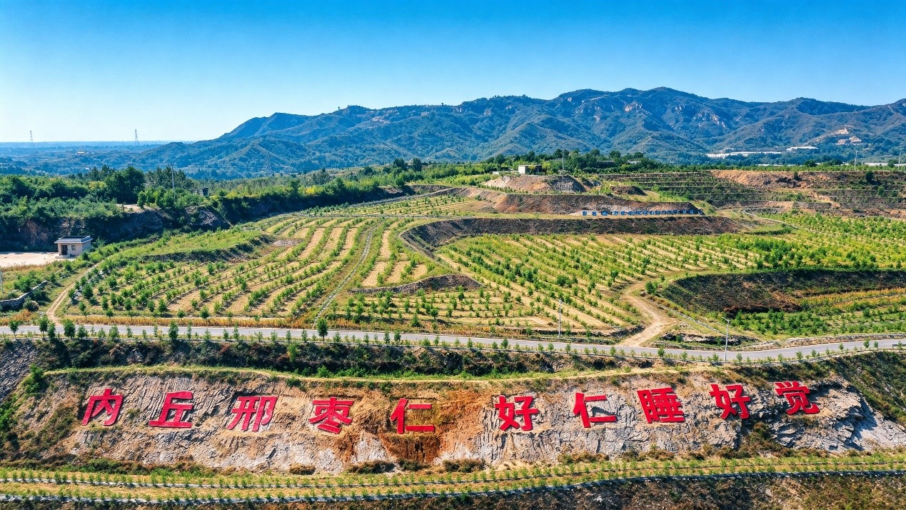 溯源道地邢枣仁:走进以岭健康晚必安原料基地