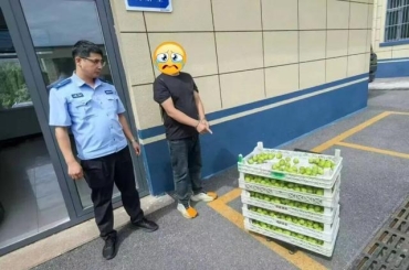 Y:ToolsDesktop图片素材2.jpeg