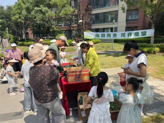 草屑枯枝就地成肥辛安街道淮河路社区探路高密度城区零碳实践(图4)