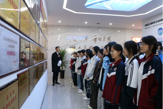 图片3