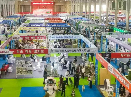 链上发力、聚势成峰,潍坊加快打造北方宠物经济发展高地