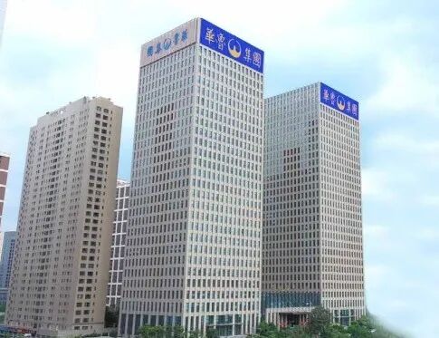 鲁抗医药董事会调整:赵伟卸任董事,朱元东当选职工代表董事