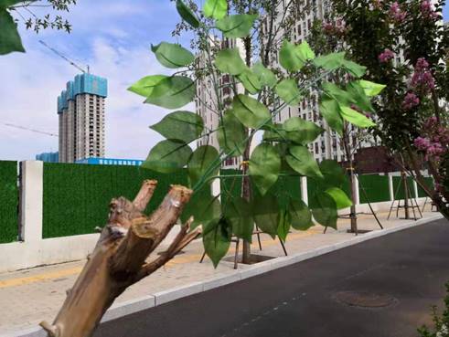 说明: 6a893f17638ba9283346fe7c9bdc0ed