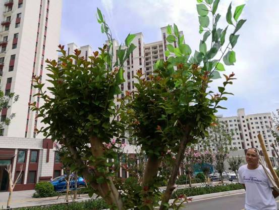 说明: eb01072ae562e10db74c565984e95e7