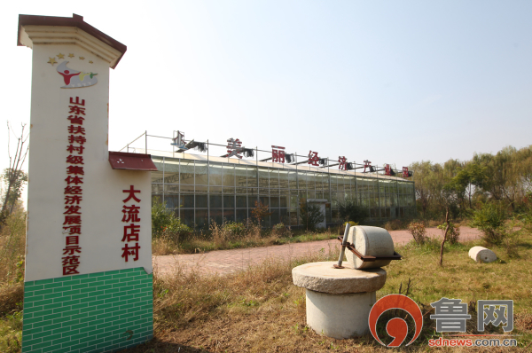 乡村振兴促发展美丽乡村惠民生济宁市任城区唐口街道大流店村侧记