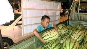 重庆13岁男孩独自练摊卖瓜 竟意外戒掉网瘾