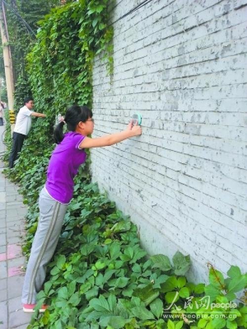 小学生给北京防治雾霾出奇招 让绿化带"立起来"